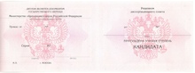 Диплом кандидата наук с 2013 по 2025 годы