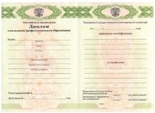 Диплом ПТУ с 2011 по 2025 годы